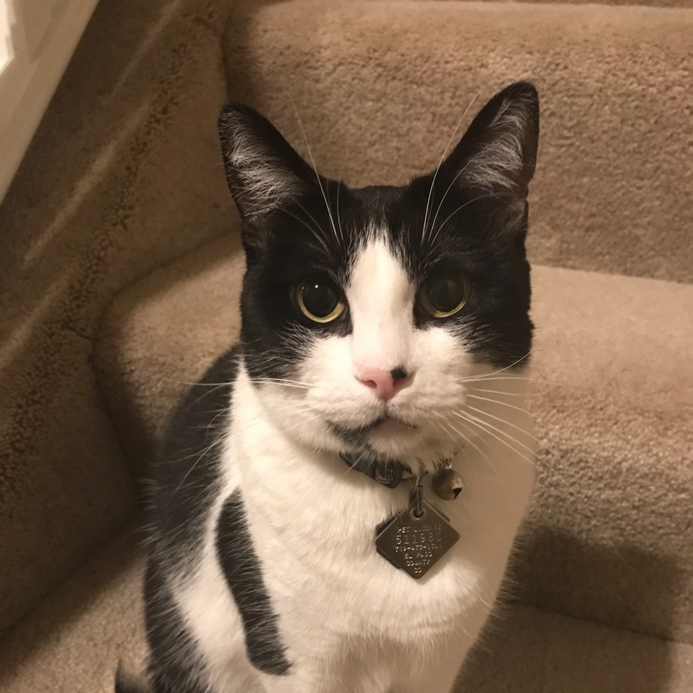 Meet your Posher, Crystal